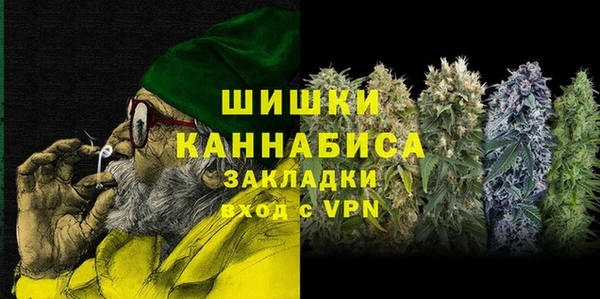 твердый Арсеньев