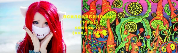 spice Армянск
